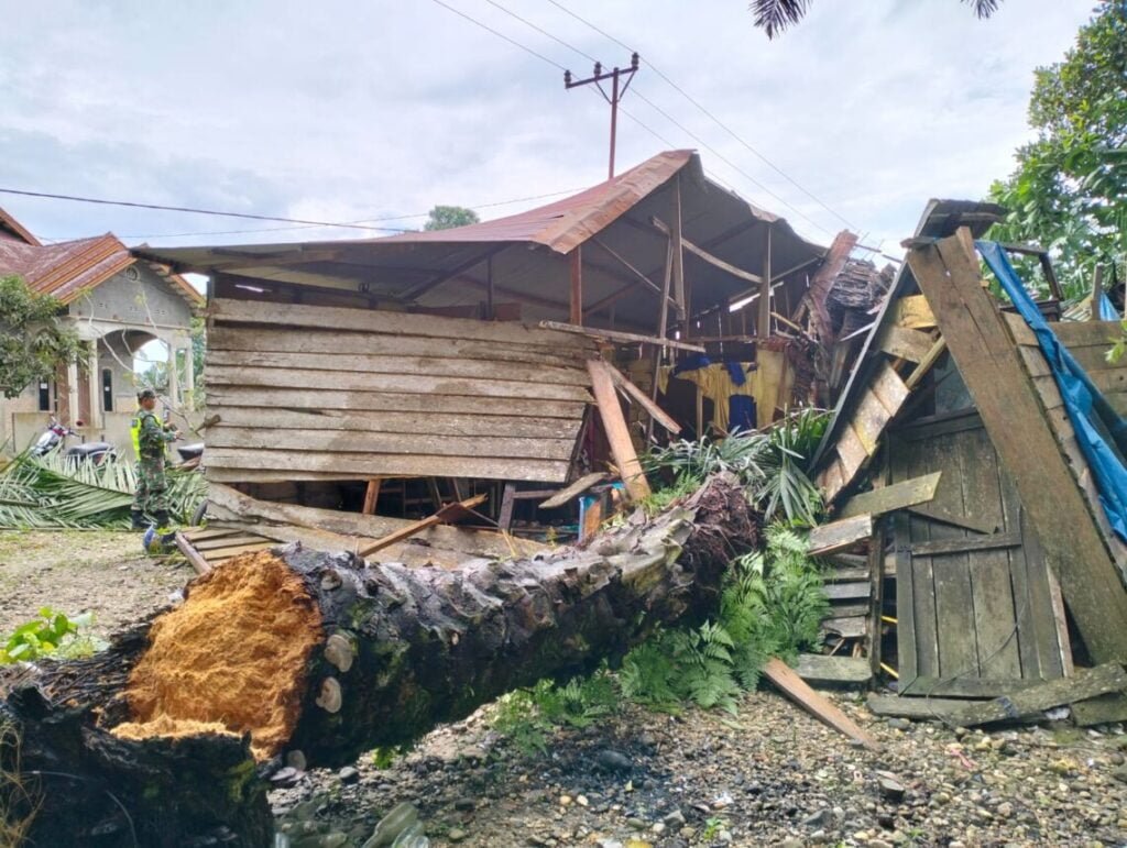 Sebanyak 4 Rumah Di Aceh Timur Rusak Parah Akibat Pohon Tumbang