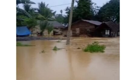 Warga Panik, Ratusan Rumah di Desa Aceh Timur Ini Direndam Banjir