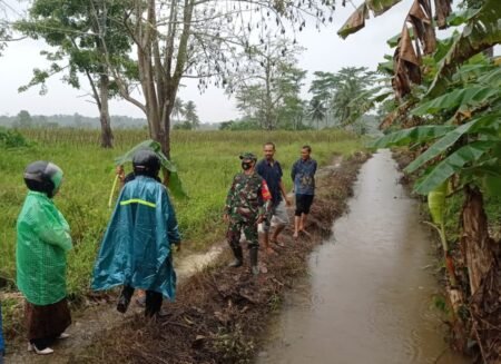 Babinsa Pante Bidari Tinjau Normalisasi Saluran Irigasi di Desa Binaan
