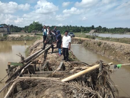 1.738 Hektar Tambak Aceh Timur Terdampak Banjir