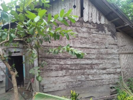 Lansia 5 Tahun Terbaring Lumpuh, Tinggal di Gubuk Reot Bersama Anak dan 4 Cucu, Pemerintah Desa Belum Bisa Mengalokasikan Dana