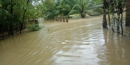 13 Kecamatan di Aceh Timur Dikepung Banjir, 3,519 Ribu Jiwa Mengungsi
