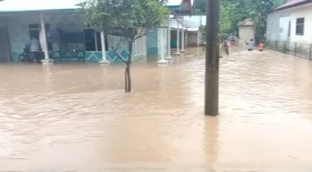 4 Kecamatan di Aceh Timur Direndam Banjir, BPBD Ingatkan Warga Tetap Waspada