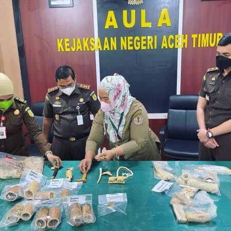 Kejaksaan Negeri Aceh Timur Menyerahkan Barang Rampasan Berupa Gading Gajah Ke Pihak BKSDA Aceh