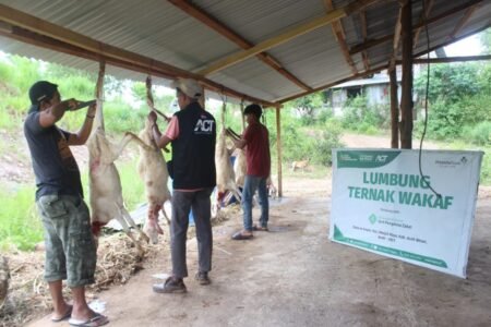 Lumbung Ternak Wakaf Hadirkan Daging ‘Meugang’ Terjangkau Untuk Masyarakat Prasejahtera