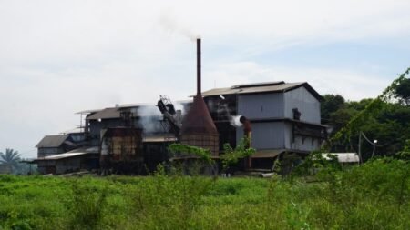 Bau Menyengat Diduga dari Limbah Sawit Pabrik Sawit Resahkan Warga Aceh Timur