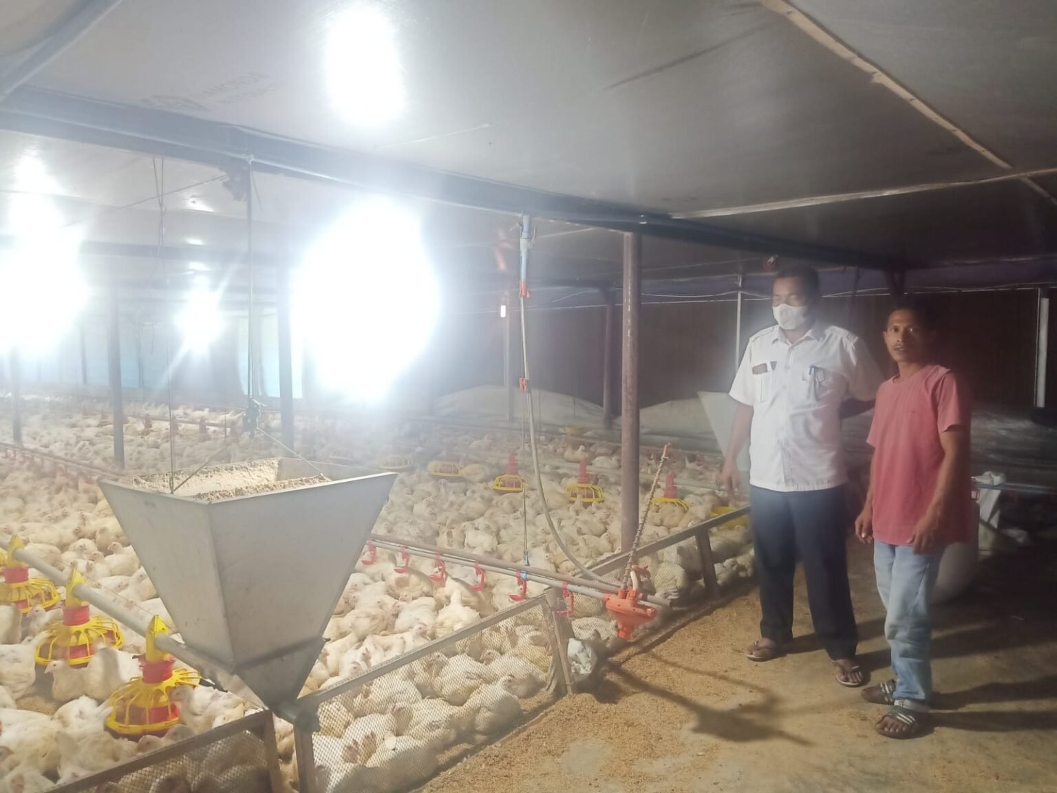 Manfaatkan DD Membina BUMG Keuntungan Bisa Mencapai Ratusan Juta