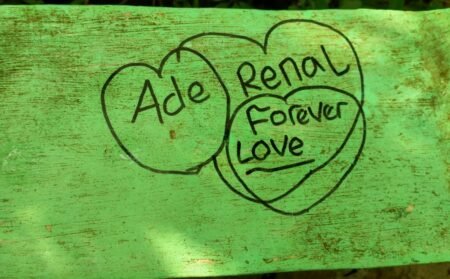 Para Wisatawan Diminta Tidak Coret Pagar Beton Hutan Mangrove Kuala Langsa