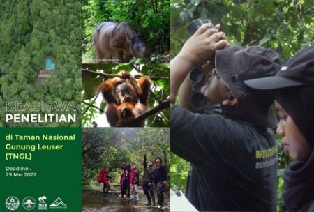 Beasiswa Penelitian Tugas Akhir kembali Dibuka, Berikut Syaratnya