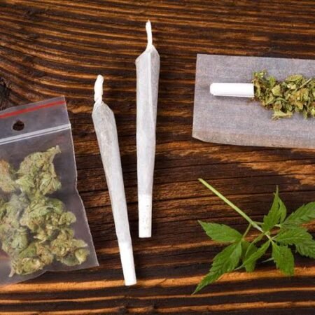 Ketahuan Pasok Ganja ke Mahasiswa USU, Mahasiswi Asal Aceh Ini Divonis 11 Tahun Penjara