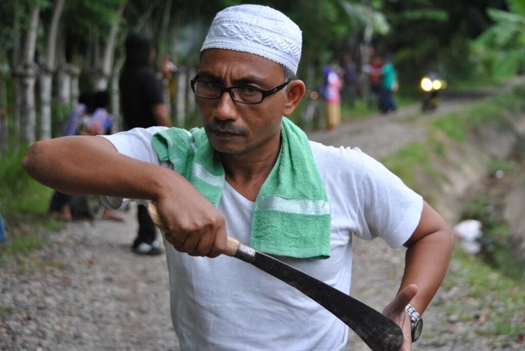 Arang Tanpa Dokumen Bebas di Aceh Timur