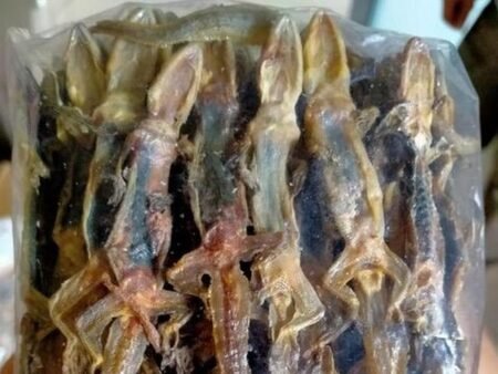 330 Kg Cicak Kering Asal Padang Diekspor ke Hongkong