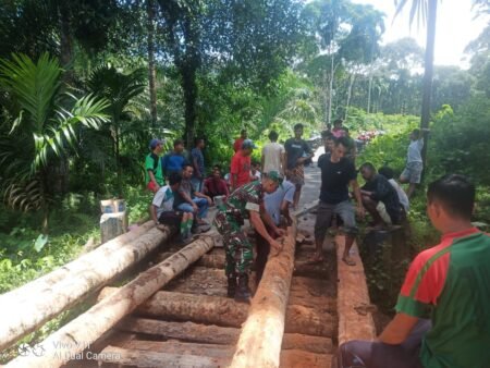 Dengan Batang Pohon Kelapa, Babinsa Bersama Warga Bangun Jembatan