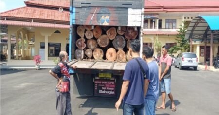 Tidak Sesuai Dokumen, Mobil Truck Pengangkut Kayu Ilegal Logging di Tangkap