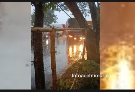 Hujan Lebat Tumbangkan Pohon di Lintas Nasional, Aceh Timur