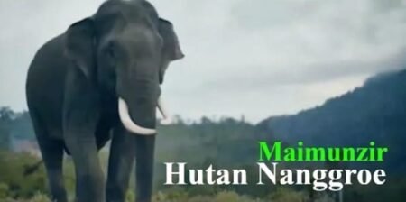 Hutan Nanggroe: Jangan Tuduh Siapa Dibalik Bencana Ini