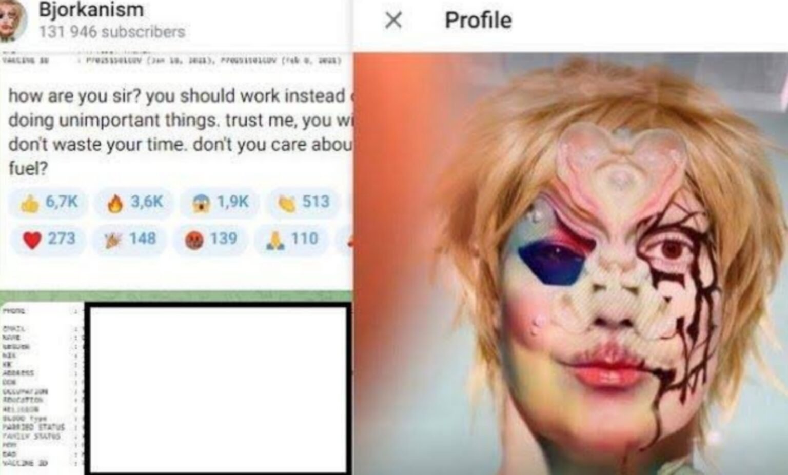 Bjorka Hacker yang Bikin Pemerintah Ketar-ketir, Lantas Siapa Dia?