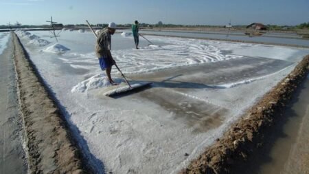 Perpres Garam Nasional, Luhut Binsar Panjaitan (LBP) Dapat Jabatan Baru
