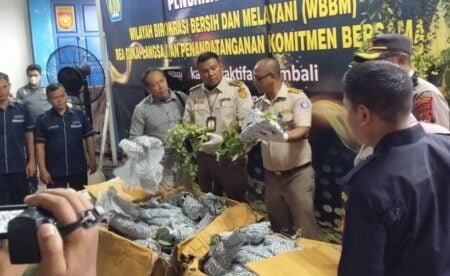 Bea Cukai Langsa Aceh Amankan Ratusan Dus Berisi Satwa Liar Dilindungi Dan Kosmetik Tanpa Pelaku