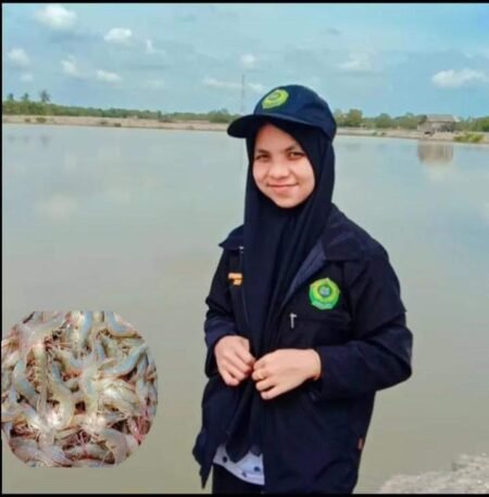 BUDIDAYA UDANG VANAME DITAMBAK KECAMATAN NURUSSALAM