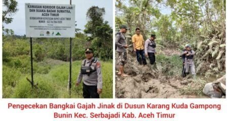 Gajah Jinak Ditemukan Mati di Lahan Milik CRU di Aceh Timur