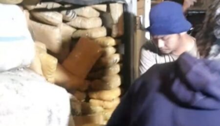 BREAKING NEWS, Kurir 1 Ton Ganja Asal Aceh Ditangkap Polresta Medan