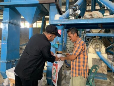 Usaha Penggiling Padi Gerakkan Ekonomi Sektor Pangan di Alue Pineung