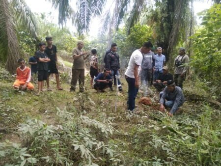 Merasa Terusik dengan Harimau, BKSDA Aceh Turunkan Pawang Bacakan Ritual
