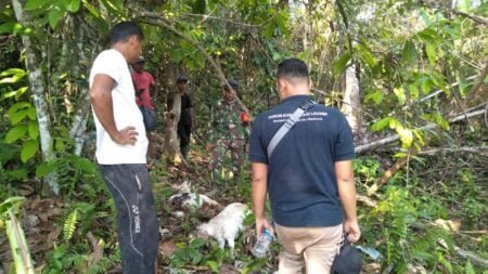 Perubahan Fungsi Hutan Jadi Penyebab Manusia Konflik Dengan Harimau di Aceh Timur