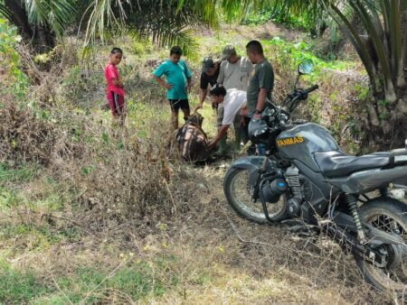 Kasus Komplik Harimau Kembali Terulang di Banda Alam Aceh Timur
