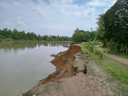 Abrasi Krueng Arakundoe Jebol dan Mengancam Tenggelamkan Gampong Sematang Julok