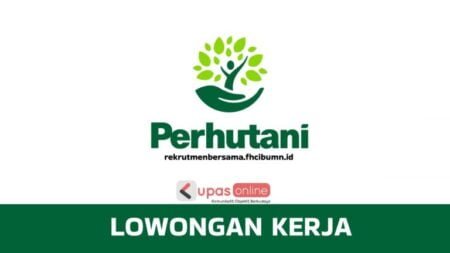Lowongan Kerja PERHUTANI Rekrutmen Bersama BUMN Mei 2023, Cek Posisinya
