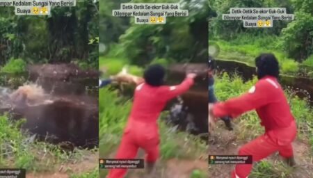 Viral Sebuah Video Dua Pekerja Tega Lempar Seekor Anjing ke Sungai Berisi Buaya
