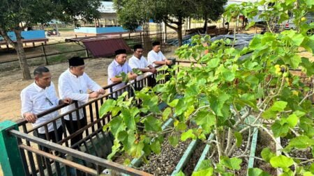 H Ilham Pangestu di Dampingi Toke Aci Ziarah Ke Makam dr Zubir Mahmud