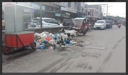Kepala DLHK Aceh Timur, Permasalahan Sampah Banyak Faktor