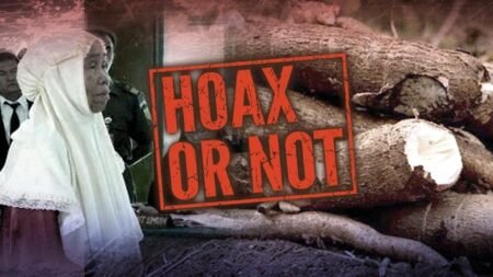 Hoax or Not, Pengadilan Nenek Tua dan Hakim Mulia