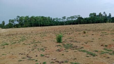 Lapangan Bola Kaki Desa Seuleumak Muda Aceh Timur Jadi Lahan Korupsi, Telan Biaya Ratusan Juta