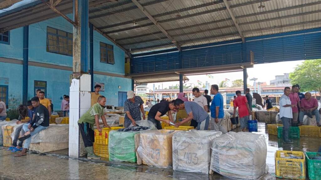 Tangkapan Ikan Aceh Timur Menurun Dibandingkan Tahun Sebelumnya