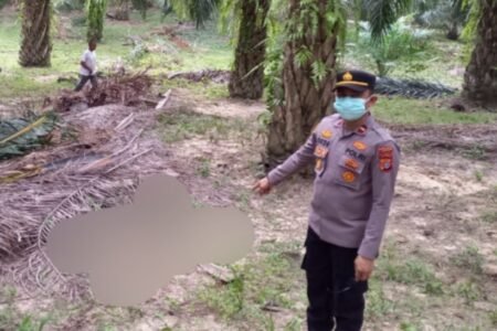 Identitas Mayat Tinggal Kerangka di Aceh Timur Terungkap, Diduga Warga Asal Bireuen