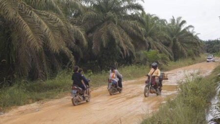 Pria Bersenjata Pakai Sebo Aniaya Lima Warga Aceh Timur di Kebun Sawit