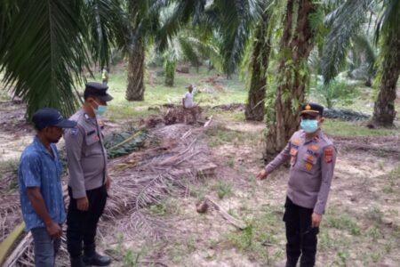 Penemuan Mayat Seorang Pria di Kebun Sawit Gegerkan Warga Aceh Timur
