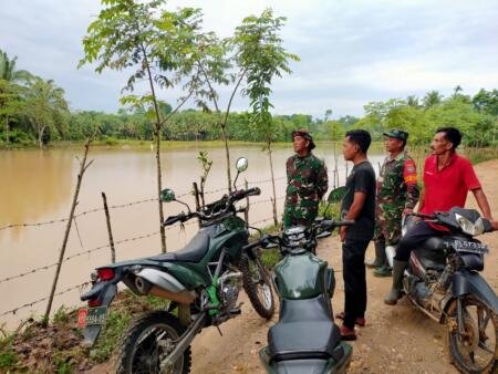 Akibat Terendam Banjir 77 Hektare Sawah di Aceh Timur Akan Gagal Panen