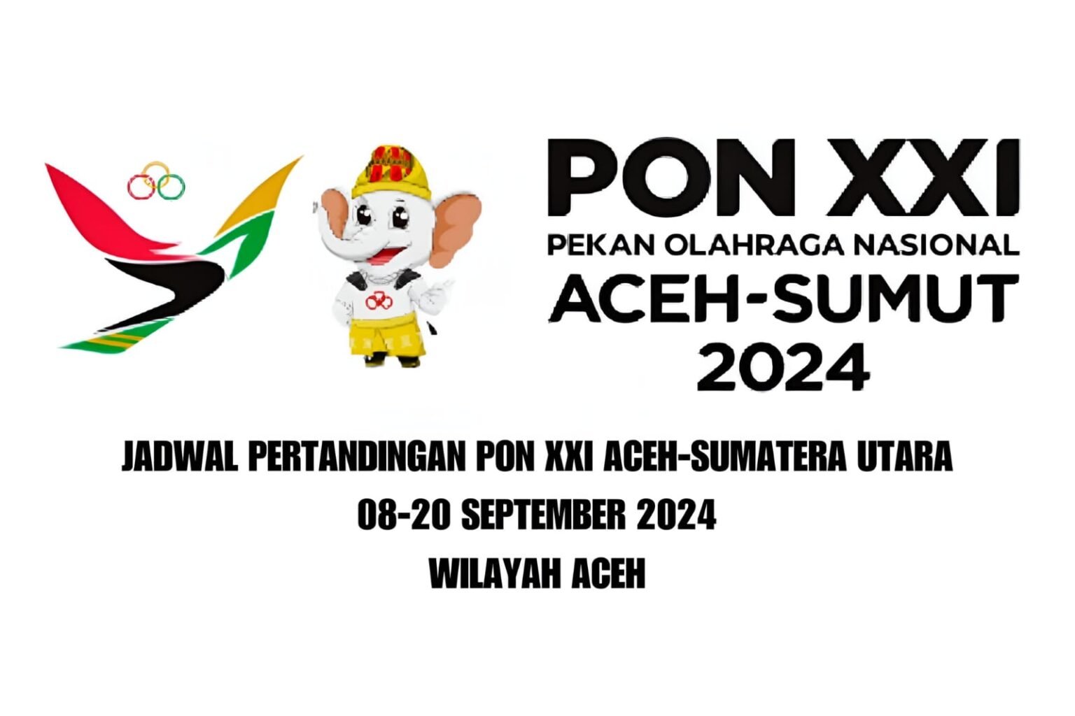 Berikut Jadwal Kirab Api PON XXI Aceh-Sumut 2024 Wilayah Aceh, Termasuk Tempat dan Cabang Pertandingannya