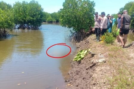 Sosok Mayat Tanpa Identitas Ditemukan di Sungai Birem Puntong