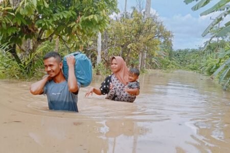 Banjir Rendam Pemukiman di Aceh Timur, Warga Mulai Mengungsi