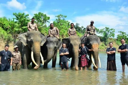 FJL Dapat Intimidasi Paska Nobar Film Lemah Kuasa di Tanah Negara