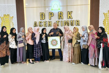 Nakes Non ASN Apresiasi Ketua DPRK Aceh Timur