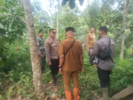 Usai Harimau Kini Giliran Gajah Masuk Kebun Warga di Aceh Timur