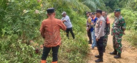 Konflik Harimau:  Ternak Warga Kembali Dimangsa di Aceh Timur