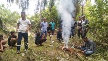 Cerita Mengusir Harimau di Aceh Timur, Mulai dari Upaya Pawang hingga Bakar Kemeyan